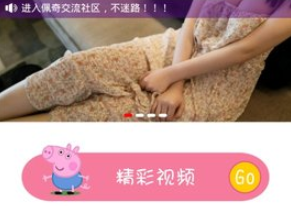 美国建国250周年可能无烟花可放