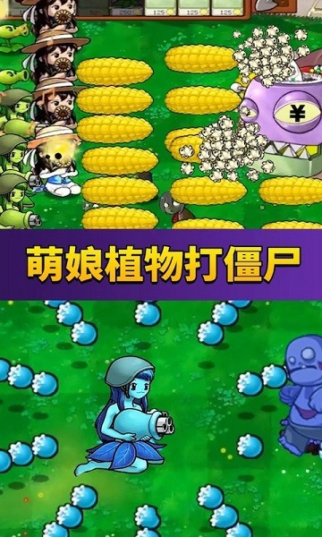 为什么大熊猫野培时，饲养员要穿着熊猫伪装服？野外生存的大熊猫都有哪些需要注意的问题？